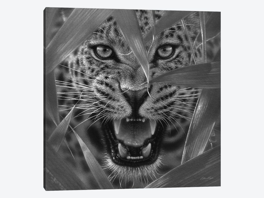 Jaguar Ambush In Black & White by Collin Bogle 1-piece Canvas Art