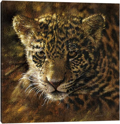 Jaguar Cub Canvas Art Print - Ancient Wonders