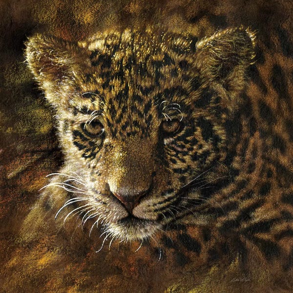 Collin Bogle: Jaguar Cub by Collin Bogle