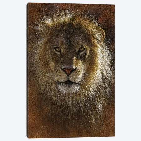 Lion Face Off Canvas Print #CBO106} by Collin Bogle Canvas Print
