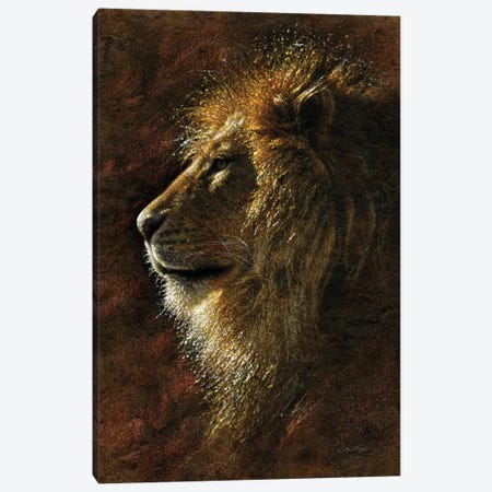 Lion Majesty Canvas Print #CBO107} by Collin Bogle Art Print