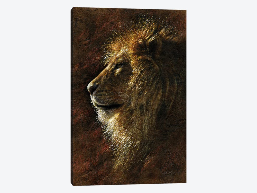 Lion Majesty by Collin Bogle 1-piece Canvas Artwork