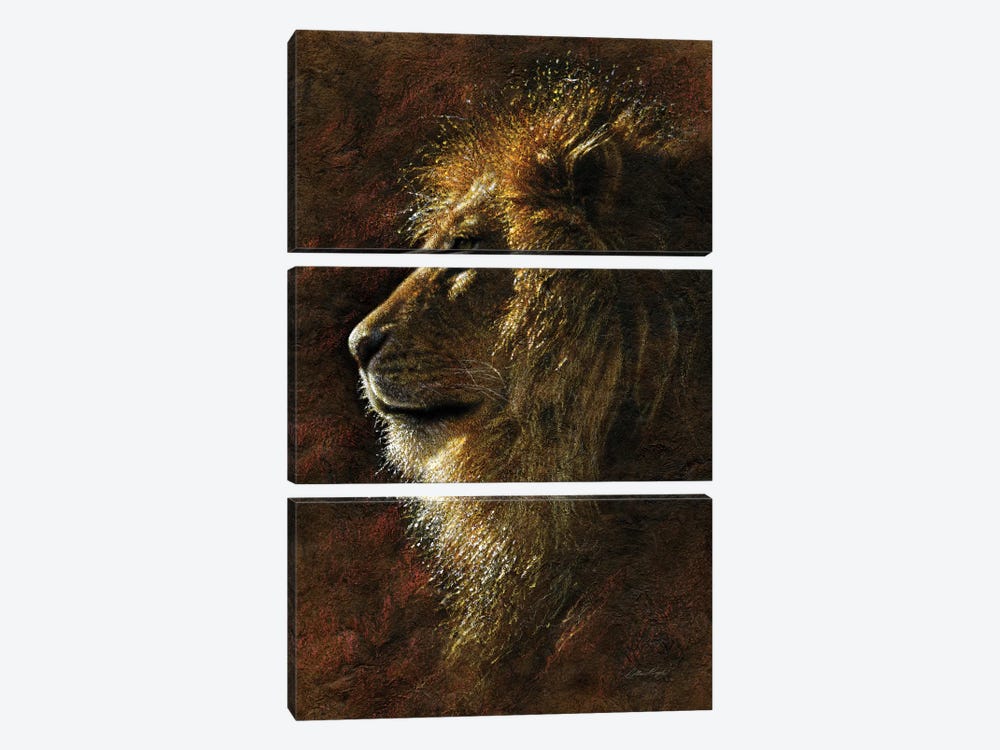 Lion Majesty by Collin Bogle 3-piece Canvas Art