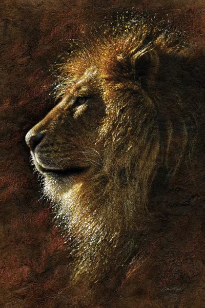 Ancient Wonders: Lion Majesty by Collin Bogle