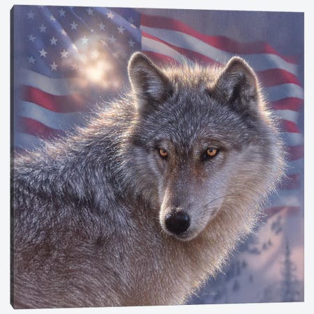 Lone Wolf - America Canvas Print #CBO108} by Collin Bogle Canvas Art