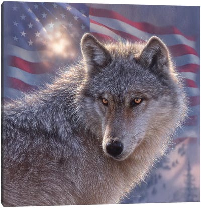 Lone Wolf - America Canvas Art Print - Collin Bogle