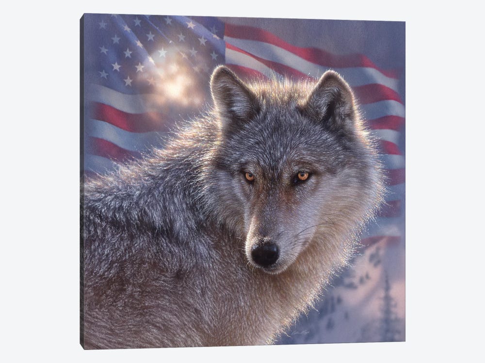 Lone Wolf - America by Collin Bogle 1-piece Art Print