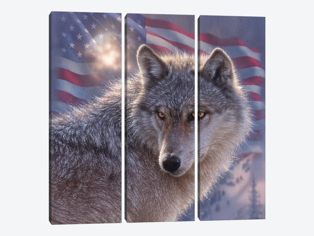 Lone Wolf - America by Collin Bogle 3-piece Canvas Art Print