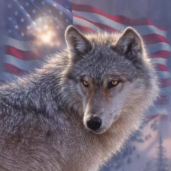 Wolves: Lone Wolf - America by Collin Bogle