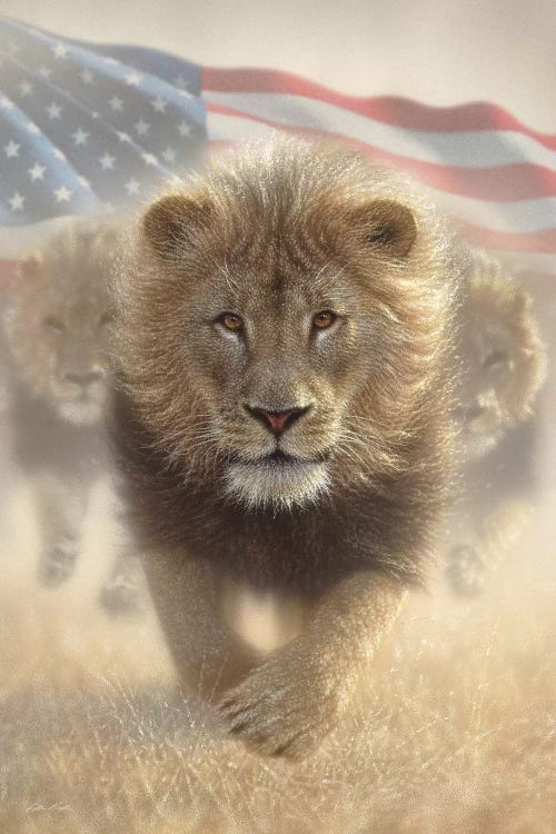 Running Lions - America