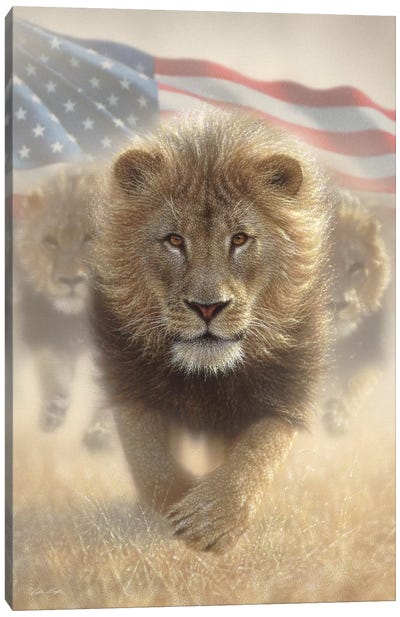 Running Lions - America Canvas Art Print - Collin Bogle