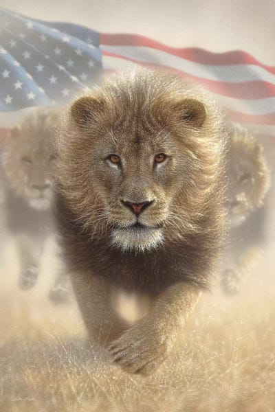 Lions: Running Lions - America by Collin Bogle