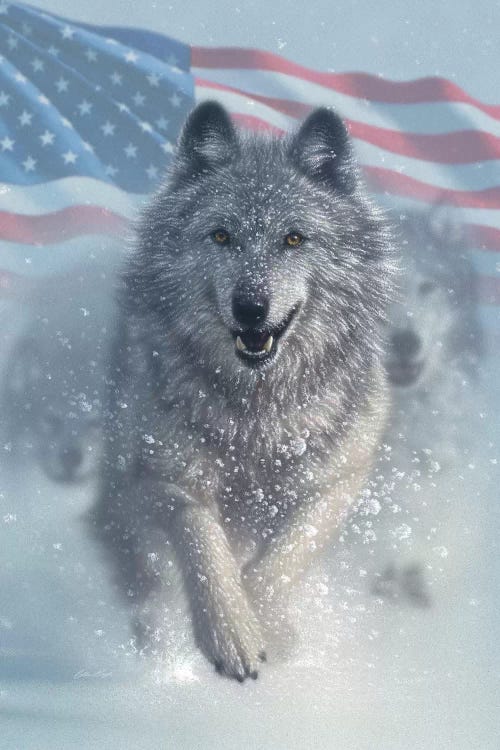 Running Wolves - America by Collin Bogle wall art