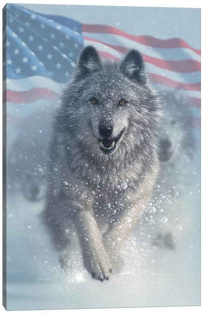 Running Wolves - America Canvas Art Print - Collin Bogle