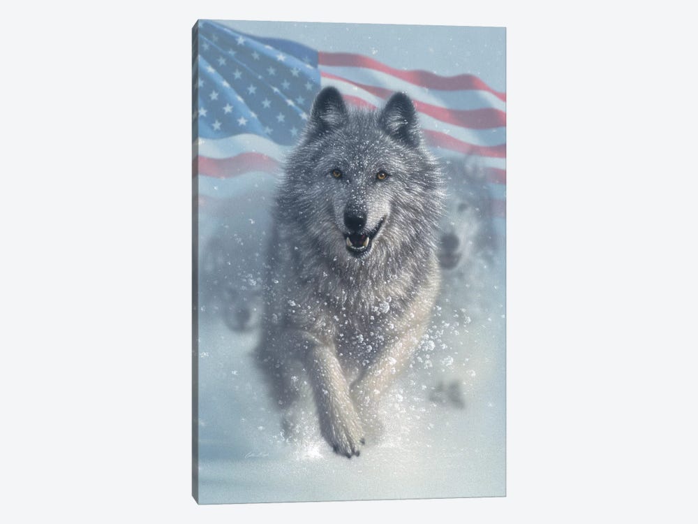 Running Wolves - America by Collin Bogle 1-piece Canvas Wall Art