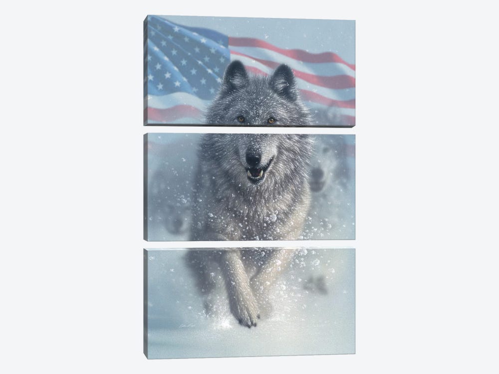 Running Wolves - America 3-piece Canvas Artwork