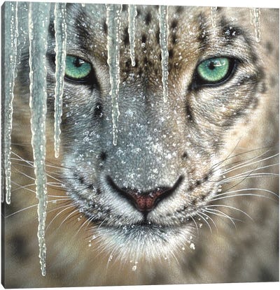 Snow Leopard - Blue Ice Canvas Art Print - Winter Art