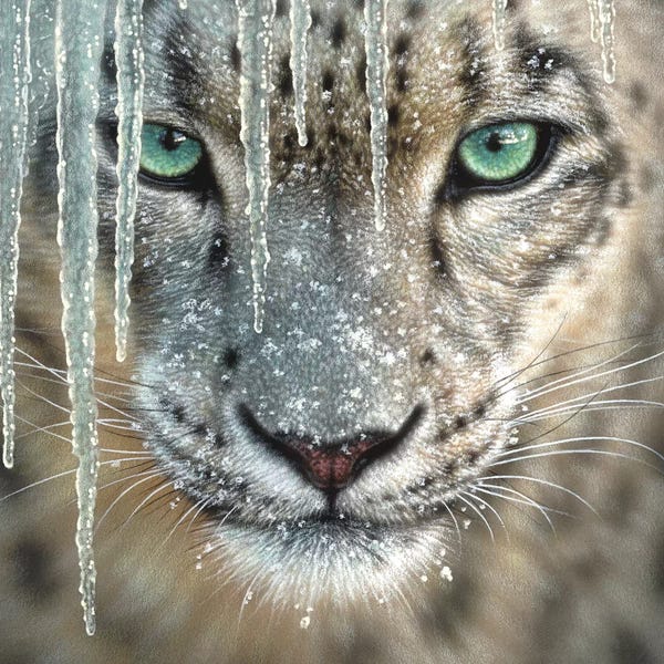 Collin Bogle: Snow Leopard - Blue Ice by Collin Bogle