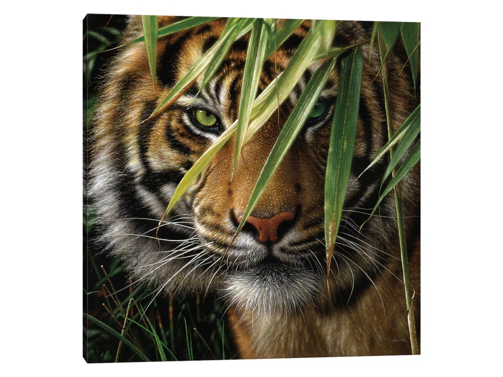 Emerald Forest Tiger Jungle Cat Digital Art by Maximus Designs - Pixels
