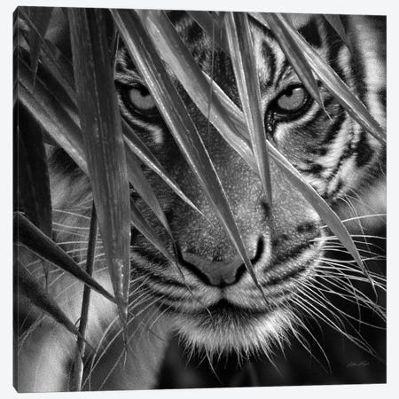 Tiger Eyes Bamboo In Black & White Canvas Print #CBO118} by Collin Bogle Art Print