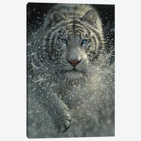 White Tiger - Wet and Wild  Canvas Print #CBO120} by Collin Bogle Canvas Artwork