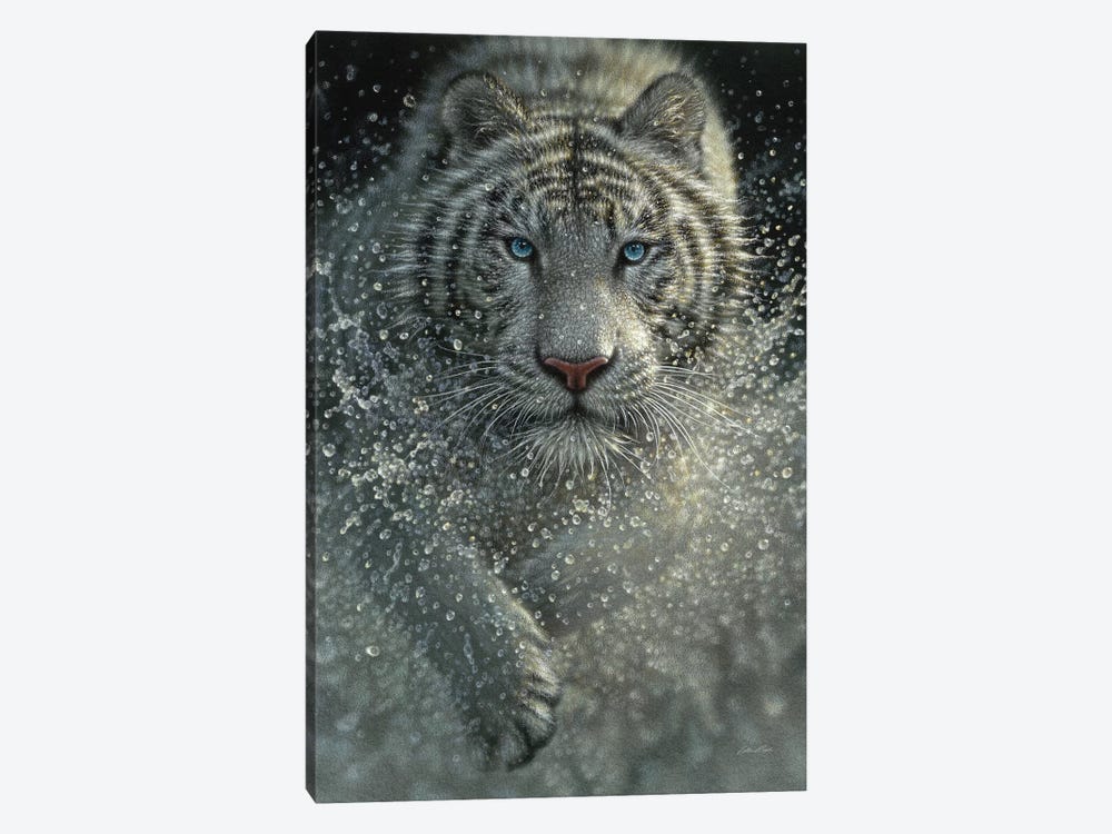 White Tiger - Wet and Wild  by Collin Bogle 1-piece Art Print