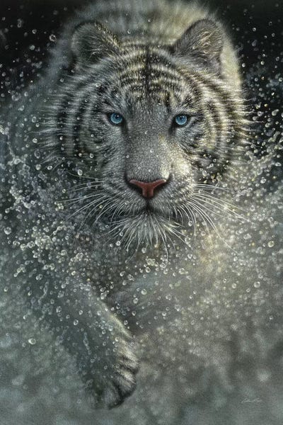 Collin Bogle: White Tiger - Wet and Wild  by Collin Bogle