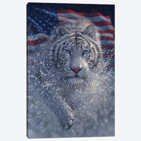 White Tiger - America Canvas Print #CBO122} by Collin Bogle Canvas Artwork