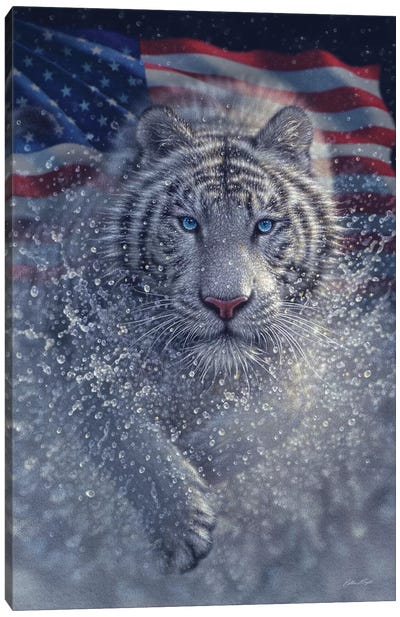 White Tiger - America Canvas Art Print - Collin Bogle