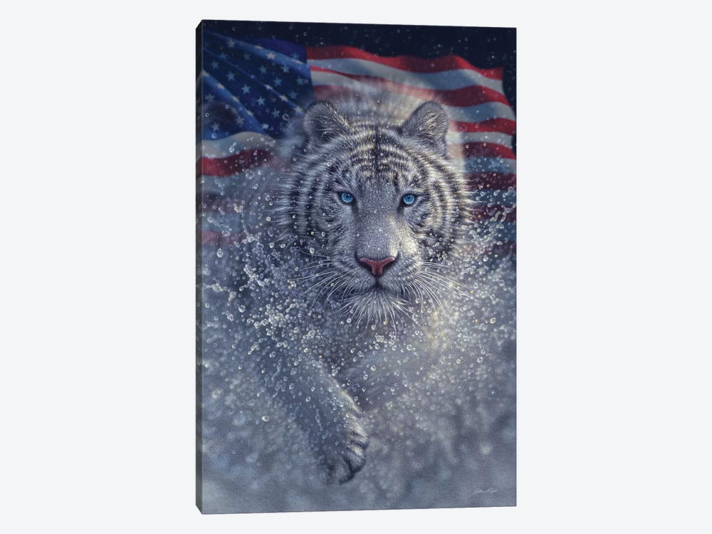 White Tiger - America by Collin Bogle 1-piece Canvas Art Print