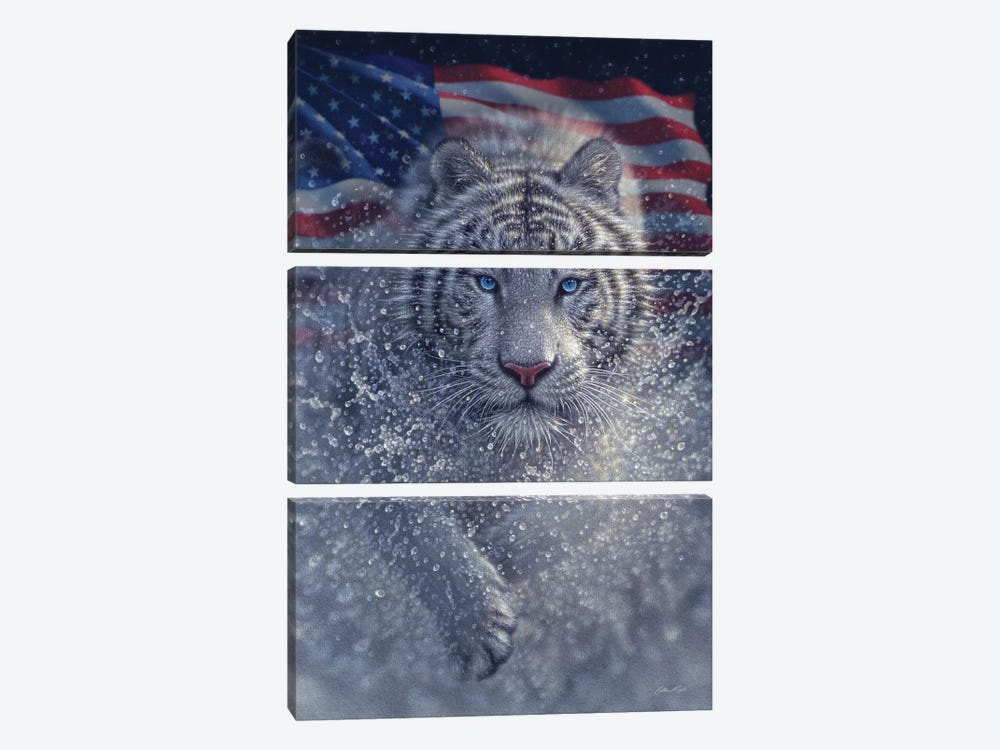 White Tiger - America by Collin Bogle 3-piece Canvas Print