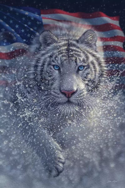 Tigers: White Tiger - America by Collin Bogle