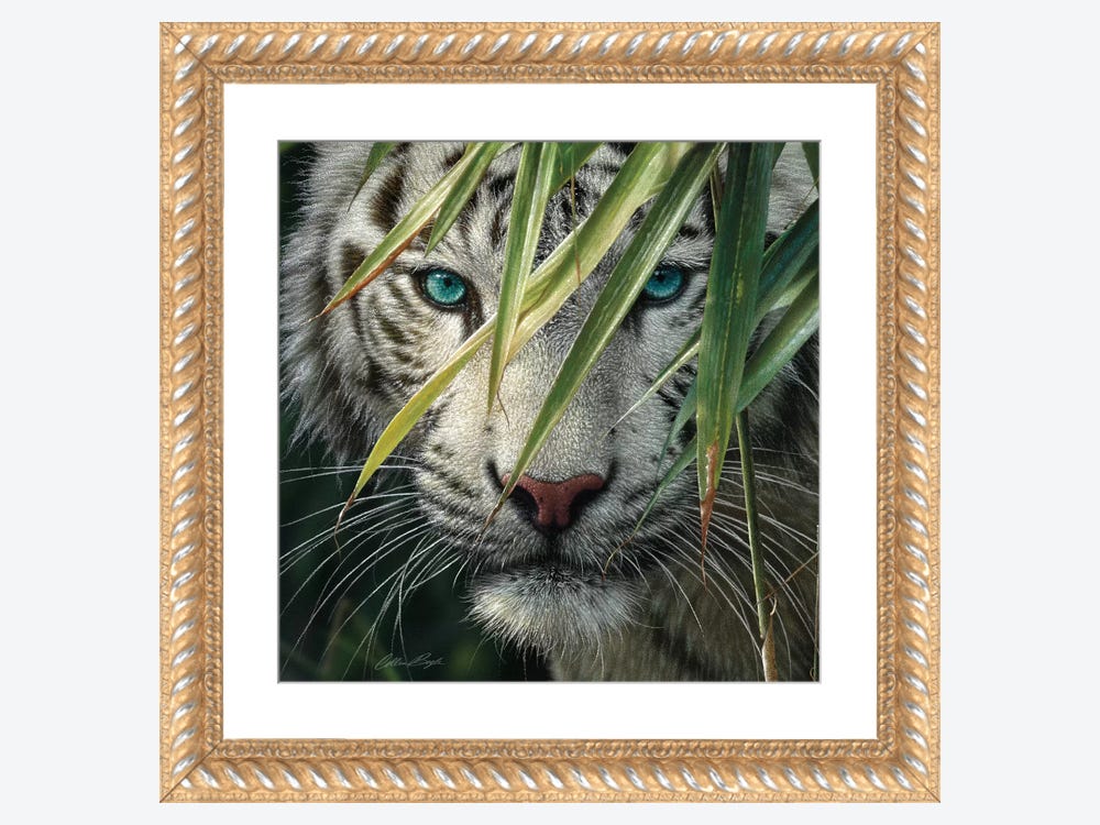 Tiger - Emerald Forest Canvas Wall Art by Collin Bogle
