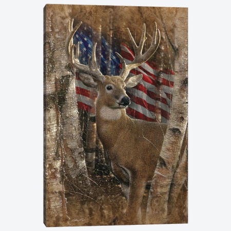 Whitetail Buck - America Canvas Print #CBO125} by Collin Bogle Canvas Print