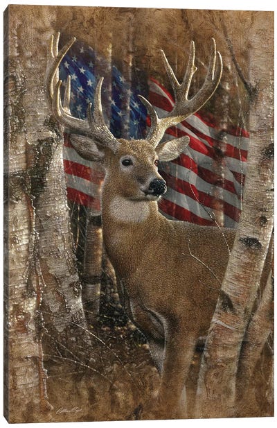 Whitetail Buck - America Canvas Art Print - Deer Art