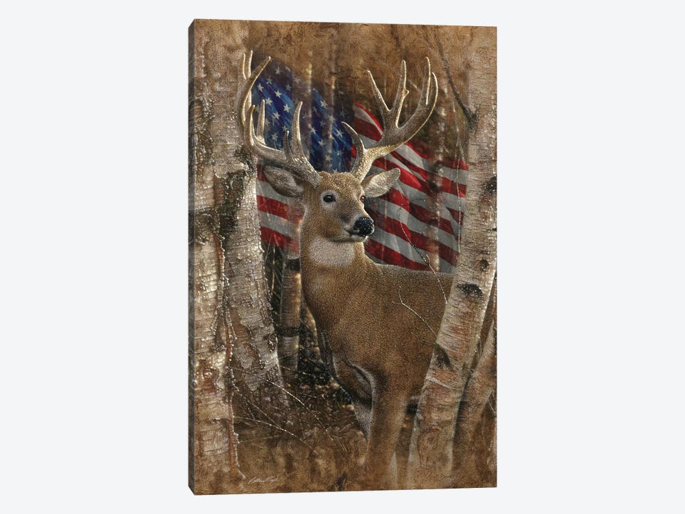Whitetail Buck - America by Collin Bogle 1-piece Canvas Art