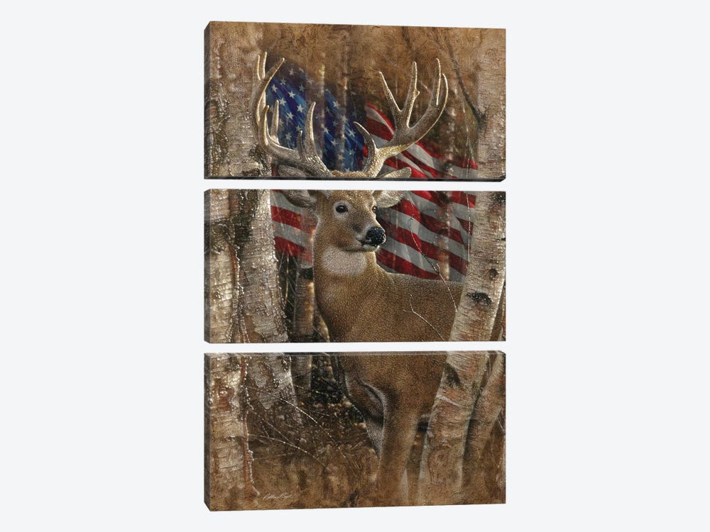 Whitetail Buck - America by Collin Bogle 3-piece Canvas Artwork