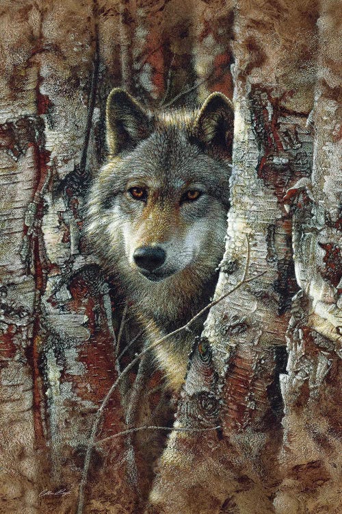 Wolf Spirit by Collin Bogle wall art