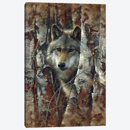 Wolf Spirit Canvas Print #CBO127} by Collin Bogle Canvas Print