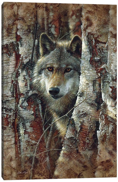 Wolf Spirit Canvas Art Print - Photorealism Art