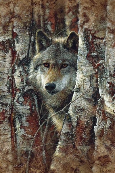 Collin Bogle: Wolf Spirit by Collin Bogle