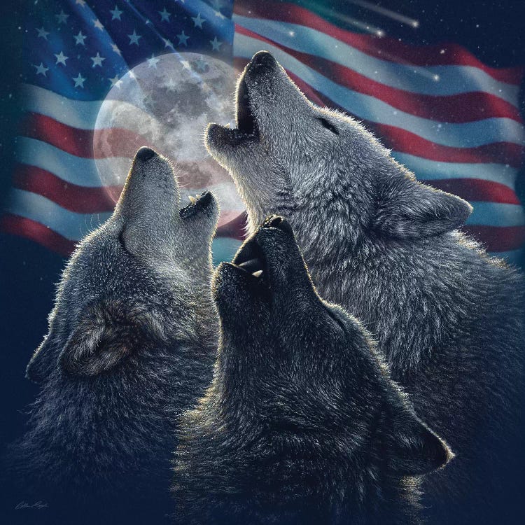 Wolf Trinity - America