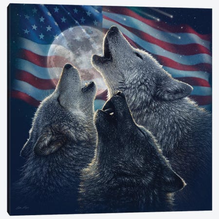 Wolf Trinity - America Canvas Print #CBO128} by Collin Bogle Canvas Wall Art