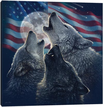 Wolf Trinity - America Canvas Art Print - Collin Bogle