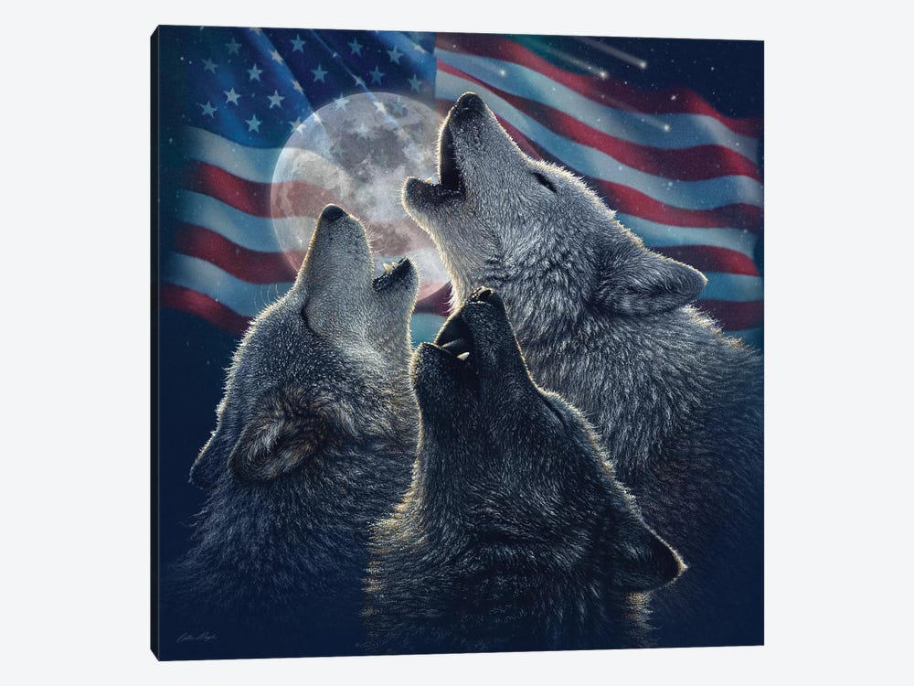 Wolf Trinity - America by Collin Bogle 1-piece Canvas Art Print