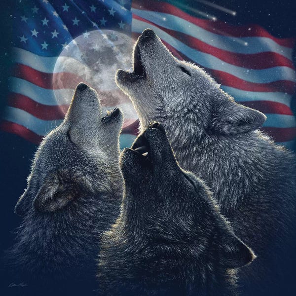 Collin Bogle: Wolf Trinity - America by Collin Bogle