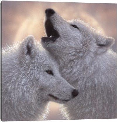 Wolves - Love Song Canvas Art Print - Wolf Art