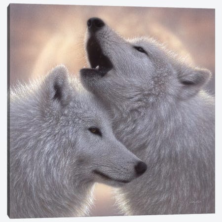 Wolves - Love Song Canvas Print #CBO129} by Collin Bogle Canvas Artwork