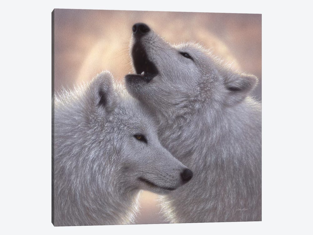 Wolves - Love Song by Collin Bogle 1-piece Canvas Art