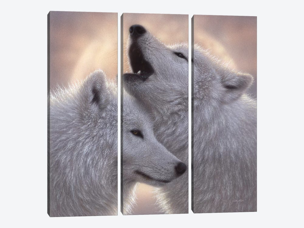 Wolves - Love Song by Collin Bogle 3-piece Canvas Wall Art